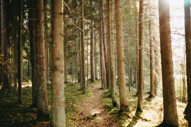 Baden-Württemberg