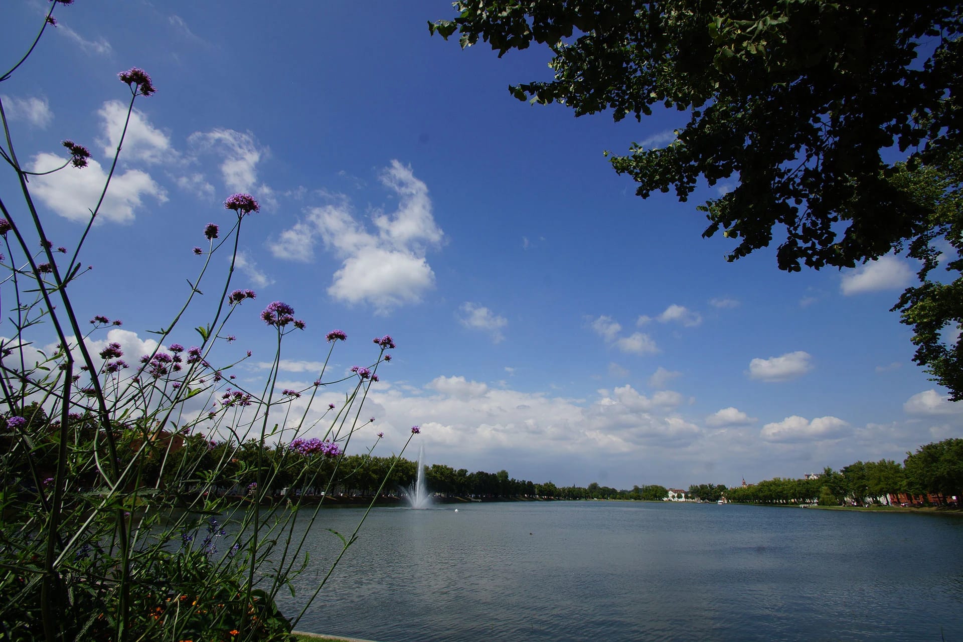 See mit Springbrunnen, im Vordergrund violett blühende Stauden