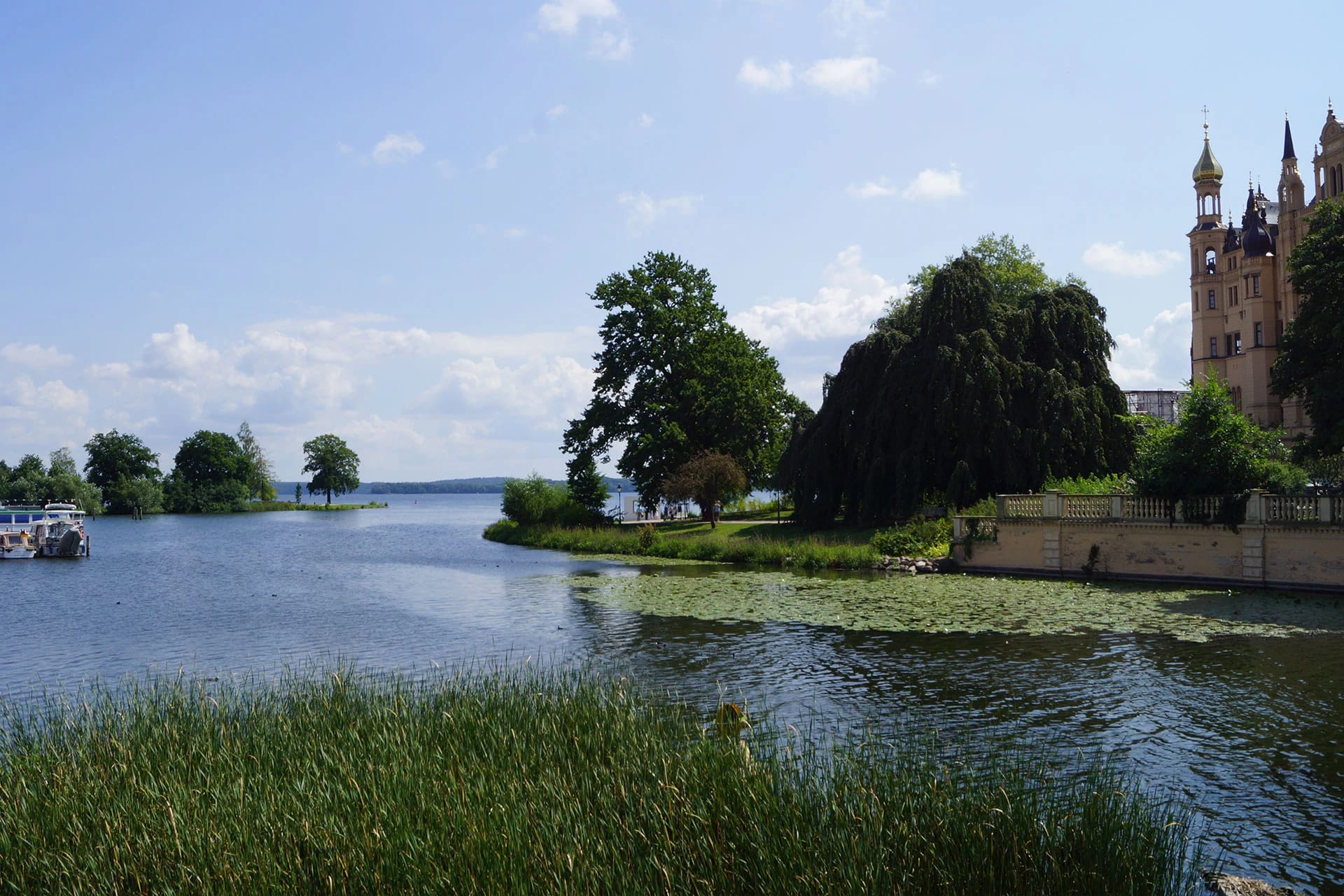 Blick über den See auf das Schweriner Schloss, im Vordergrund Schilf