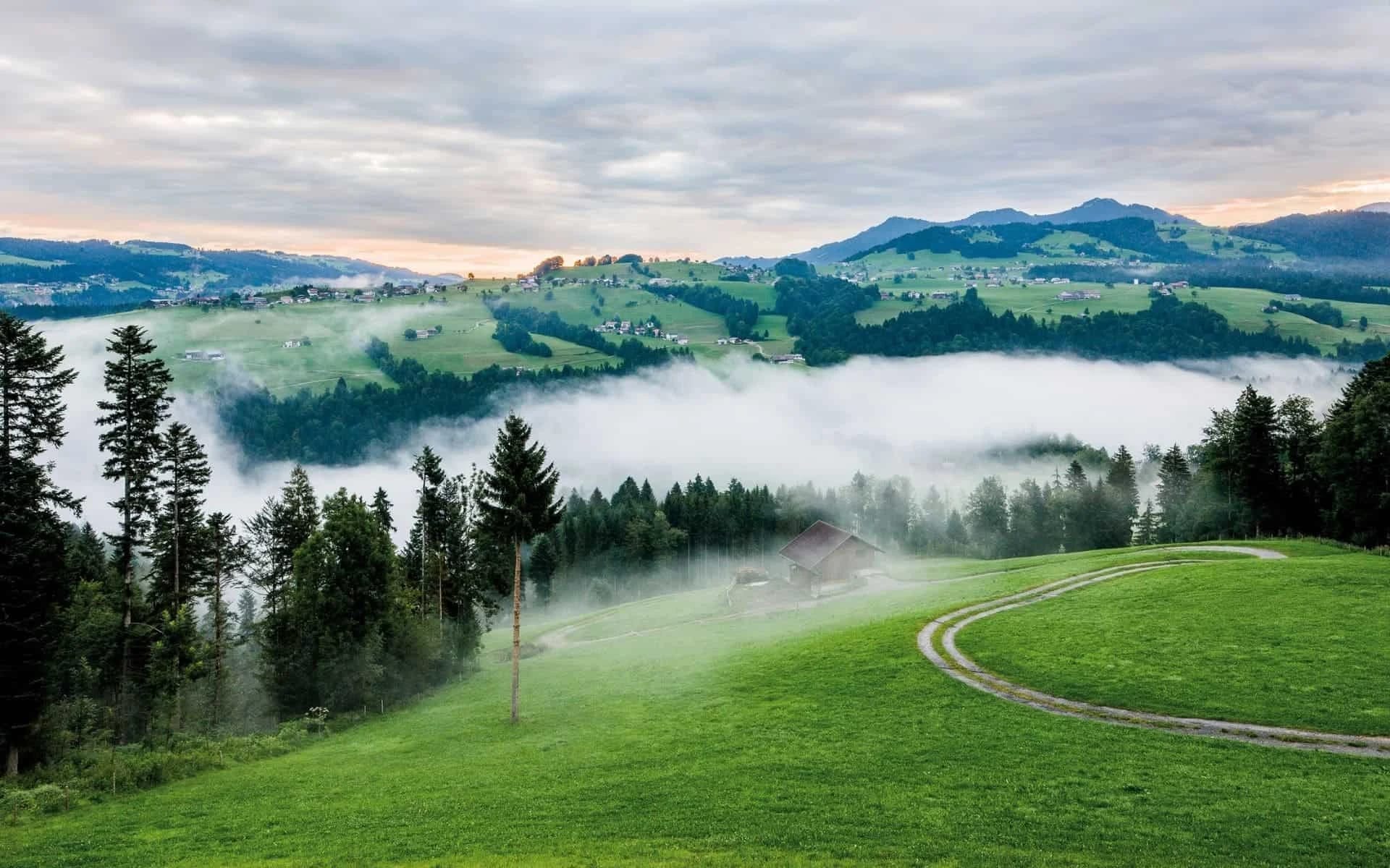 Morgennebel über bewaldeten Hügeln und grünen Wiesen im Bregenzerwald