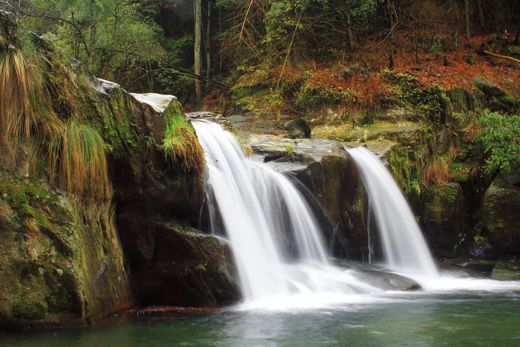 Wasserfall über bemooste Felsen in herbstlich gefärbtem Wald