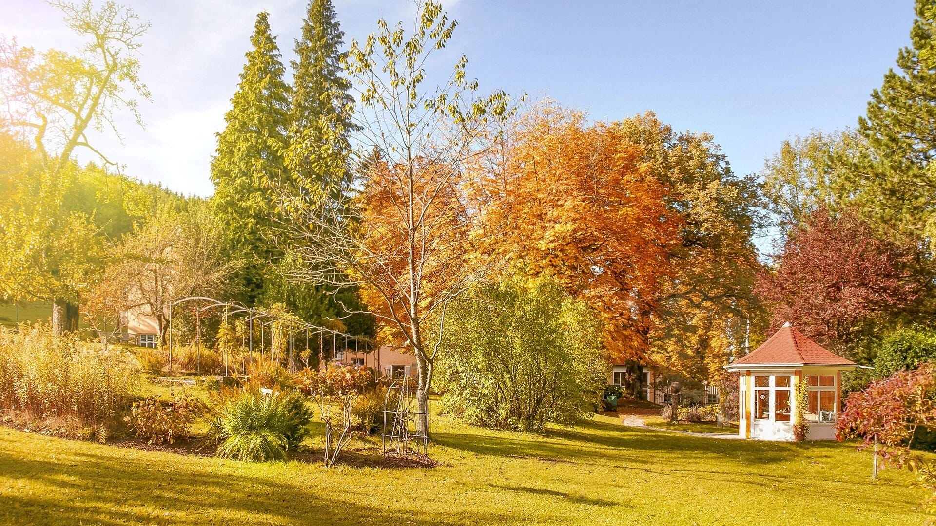 Parkanlage in Herbstfärbung mit Pavillon und weiter Rasenfläche