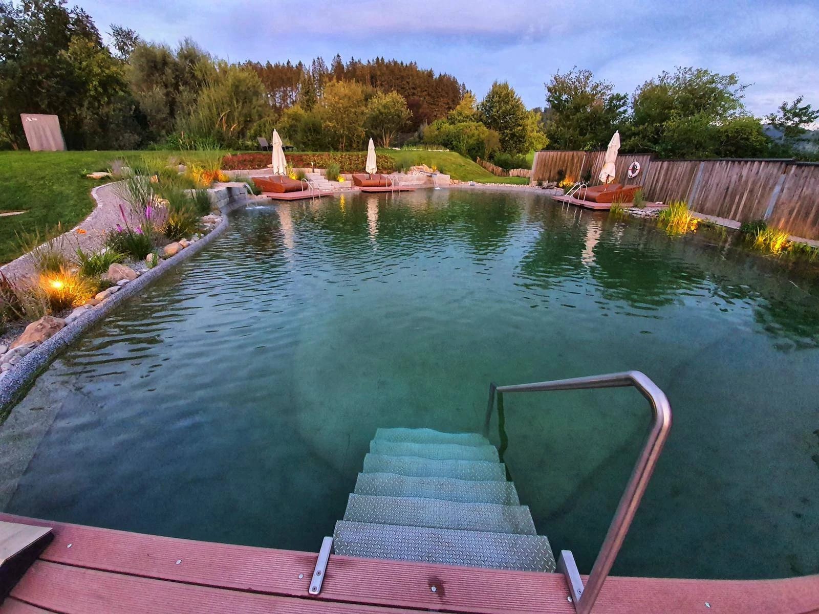 Naturschwimmteich mit Einstiegstreppe, Schilfbewuchs und Liegen in der Abenddämmerung