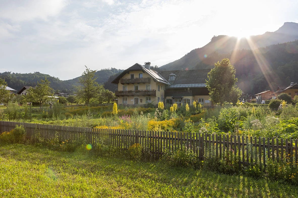 Landhaus des Hildegardzentrums hinter Holzzaun mit blühendem Kräutergarten im Gegenlicht