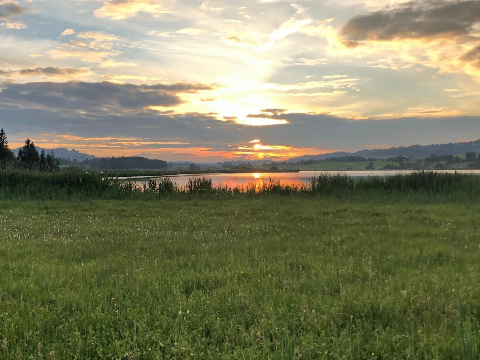 Sonnenuntergang über dem Hopfensee mit Wiese im Vordergrund