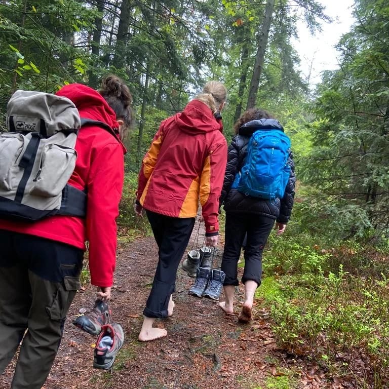 Wandergruppe auf einem Waldweg von hinten gesehen