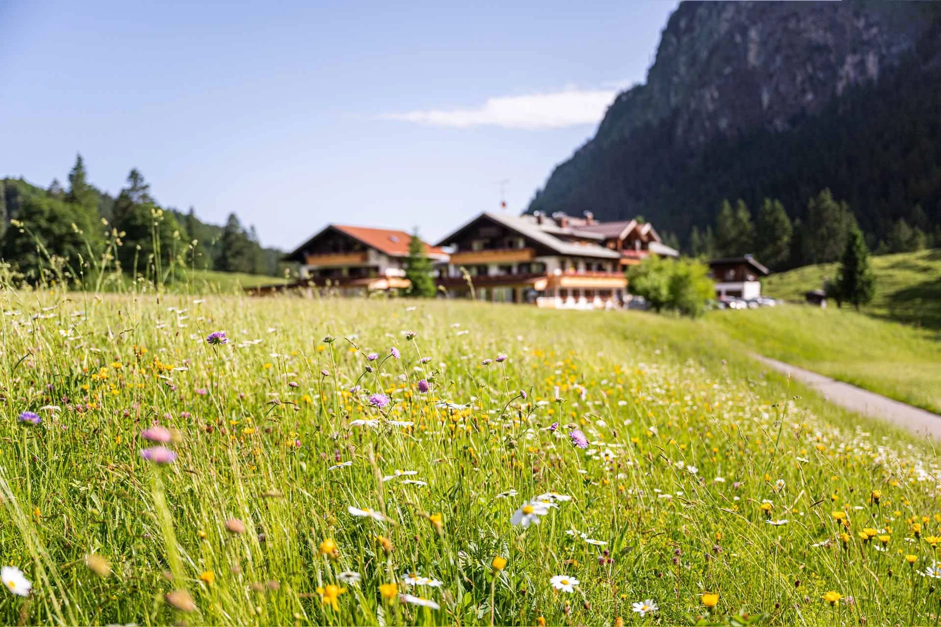Blick über eine sommerliche Blumenwiese auf das Hotelgebäude vor Felswand
