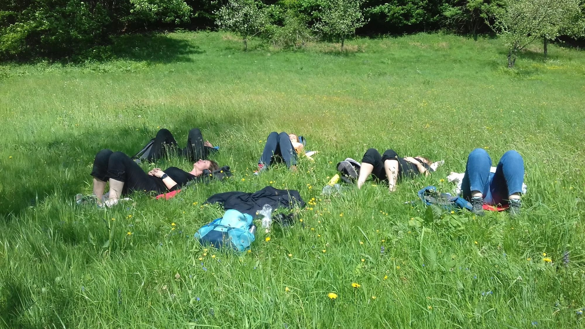 Gruppe liegt entspannt im Kreis auf einer Wiese