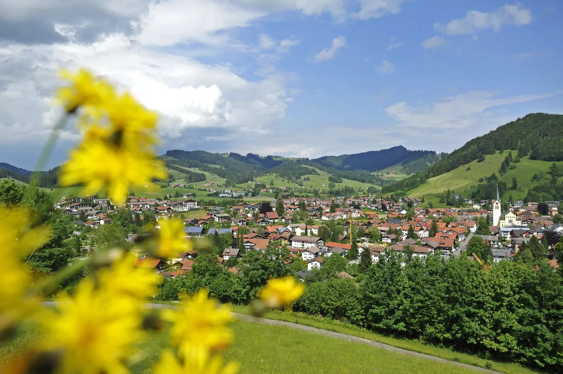 Blick über den Ort mit Kirchturm auf Wiesen und bewaldete Hügel, im Vordergrund gelbe Blumen