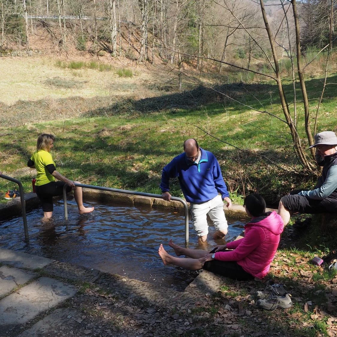 Gruppe beim Wassertreten in einem Bach im Wald