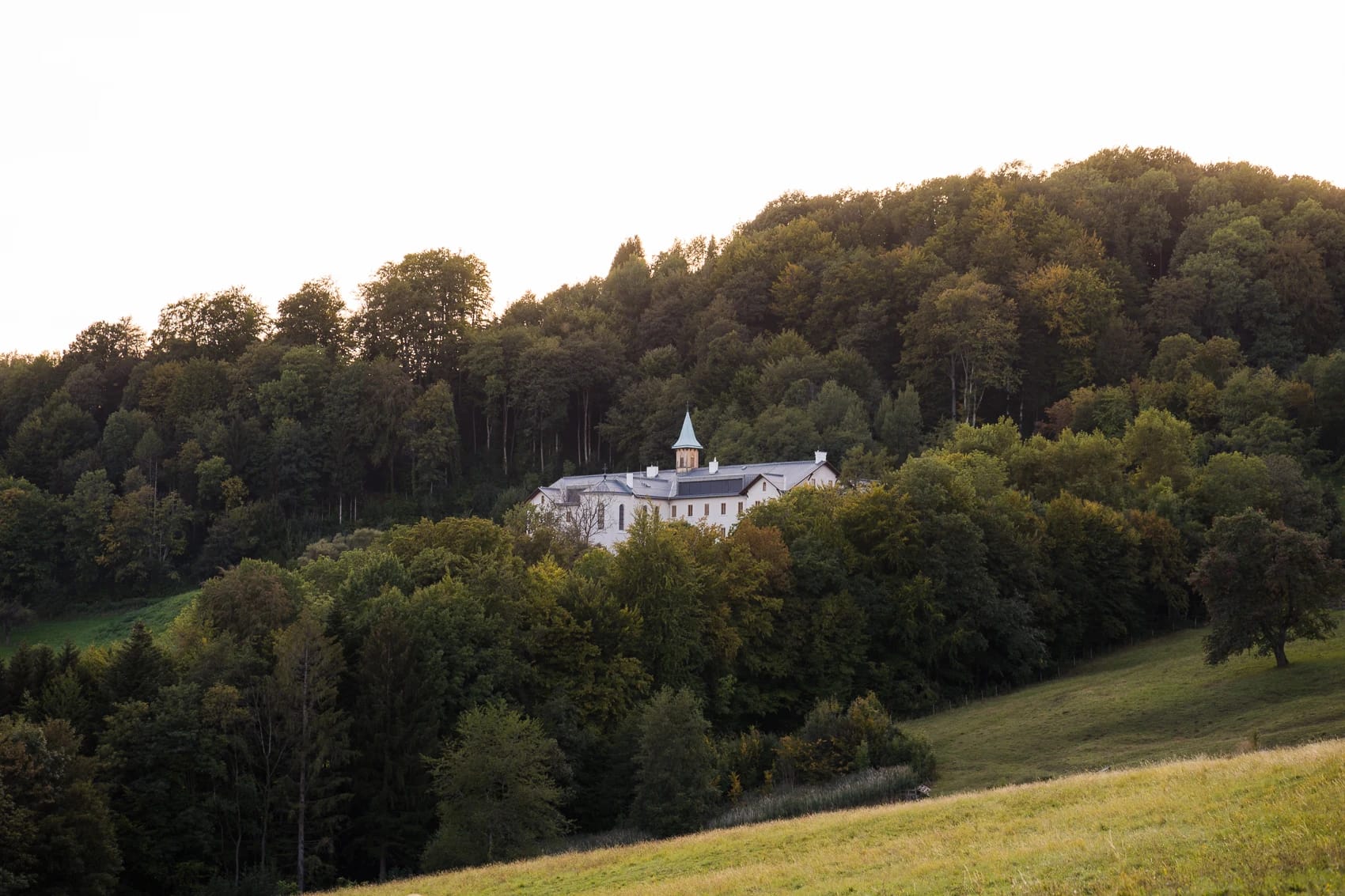 Weißes Haupthaus im Wald, davor eine Wiese im Abendlicht