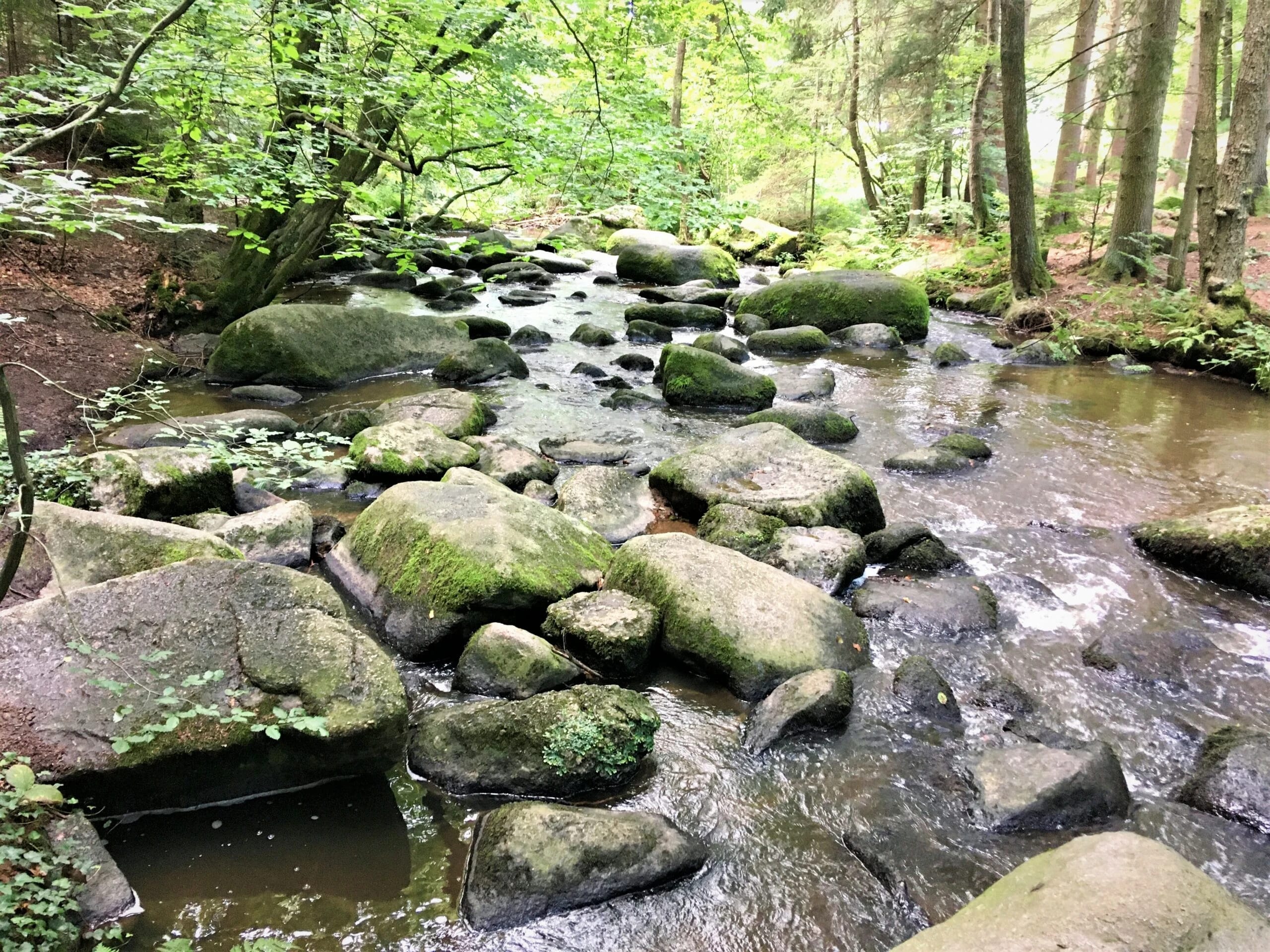 Fastenwandern an der Bode im Harz