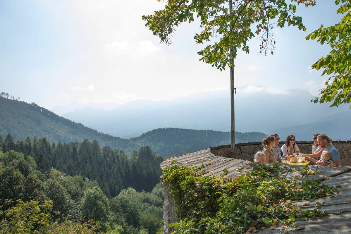 Aussichtsplatz über bewaldete Hügel mit Bergketten im Dunst