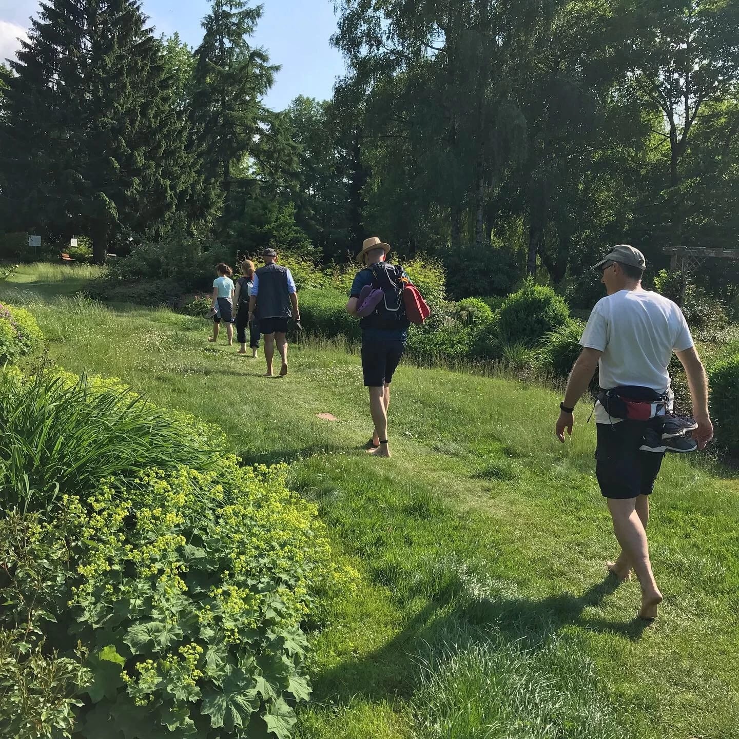 Barfußwanderung über eine sommerliche Wiese während der Fastenwoche