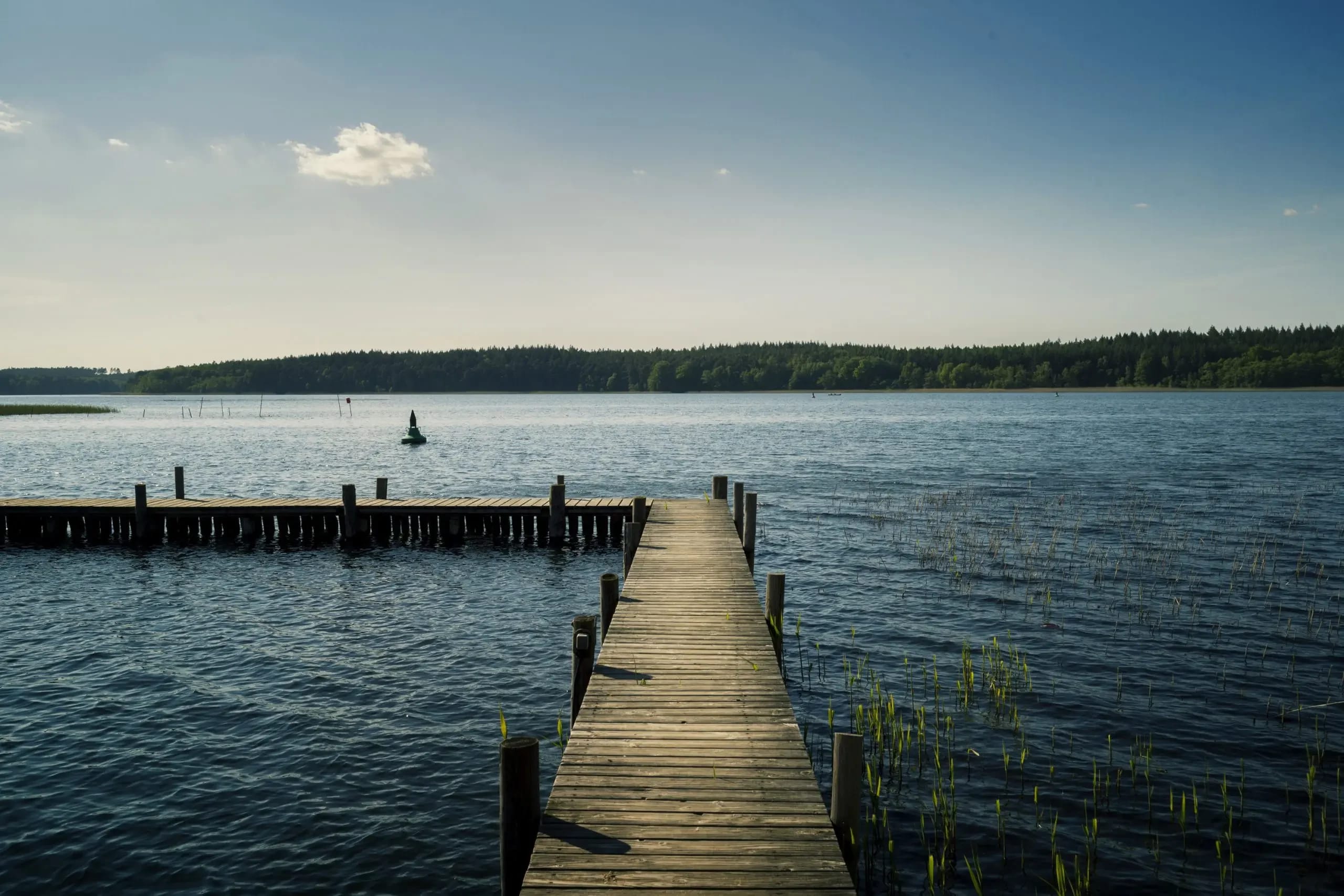 Holzsteg am See unter blauem Himmel