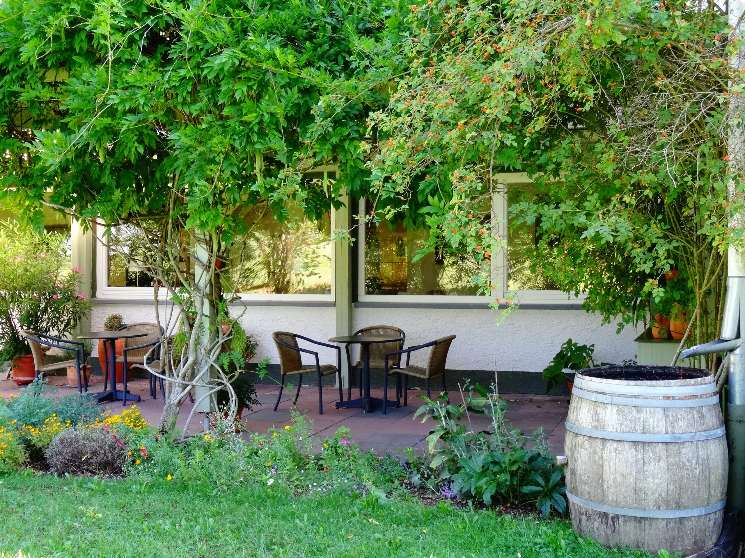Terrasse mit Tischen und Stühlen unter berankter Pergola vor den Fenstern des Hauses