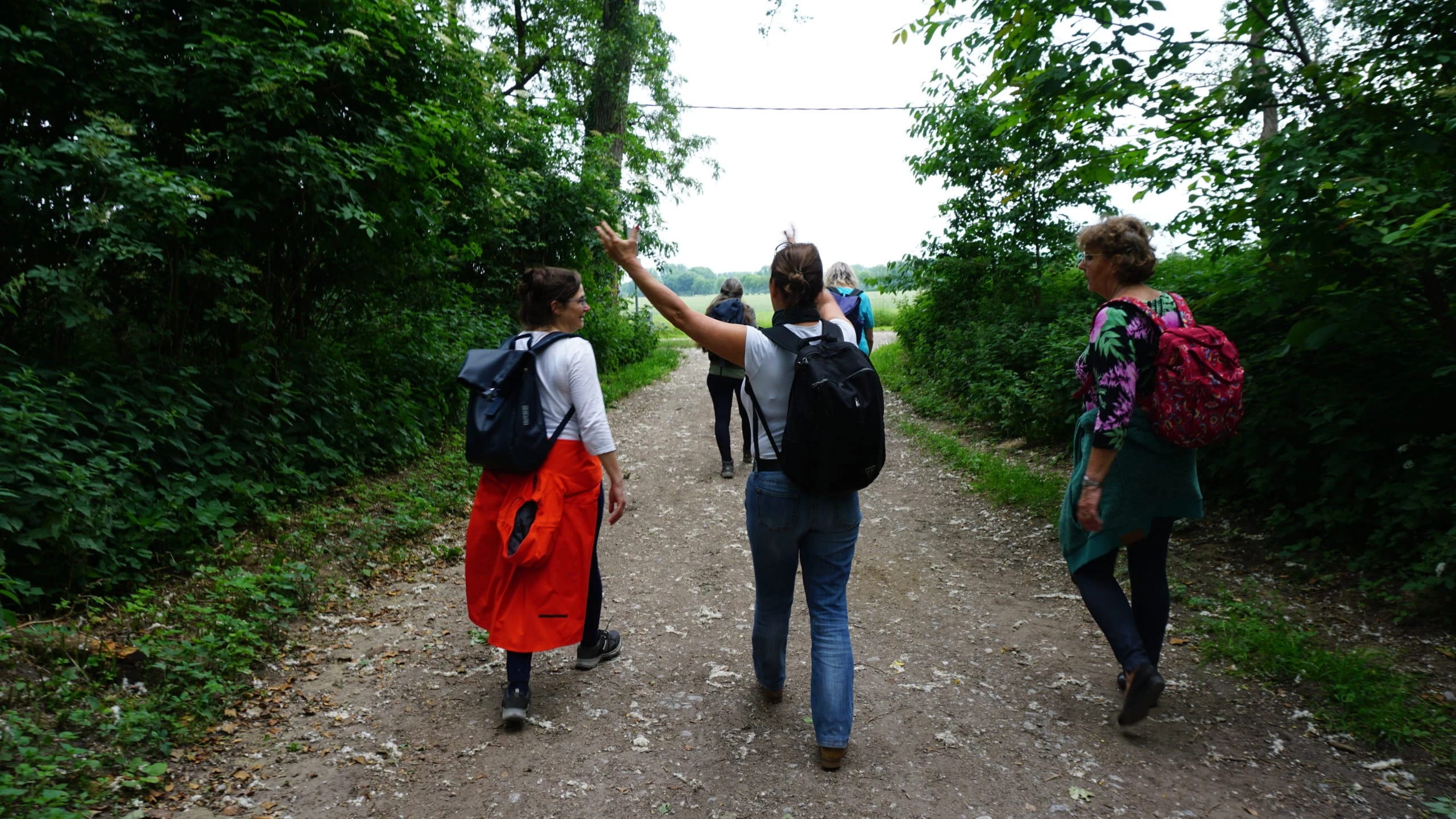 Wandergruppe mit Rucksäcken auf einem Feldweg