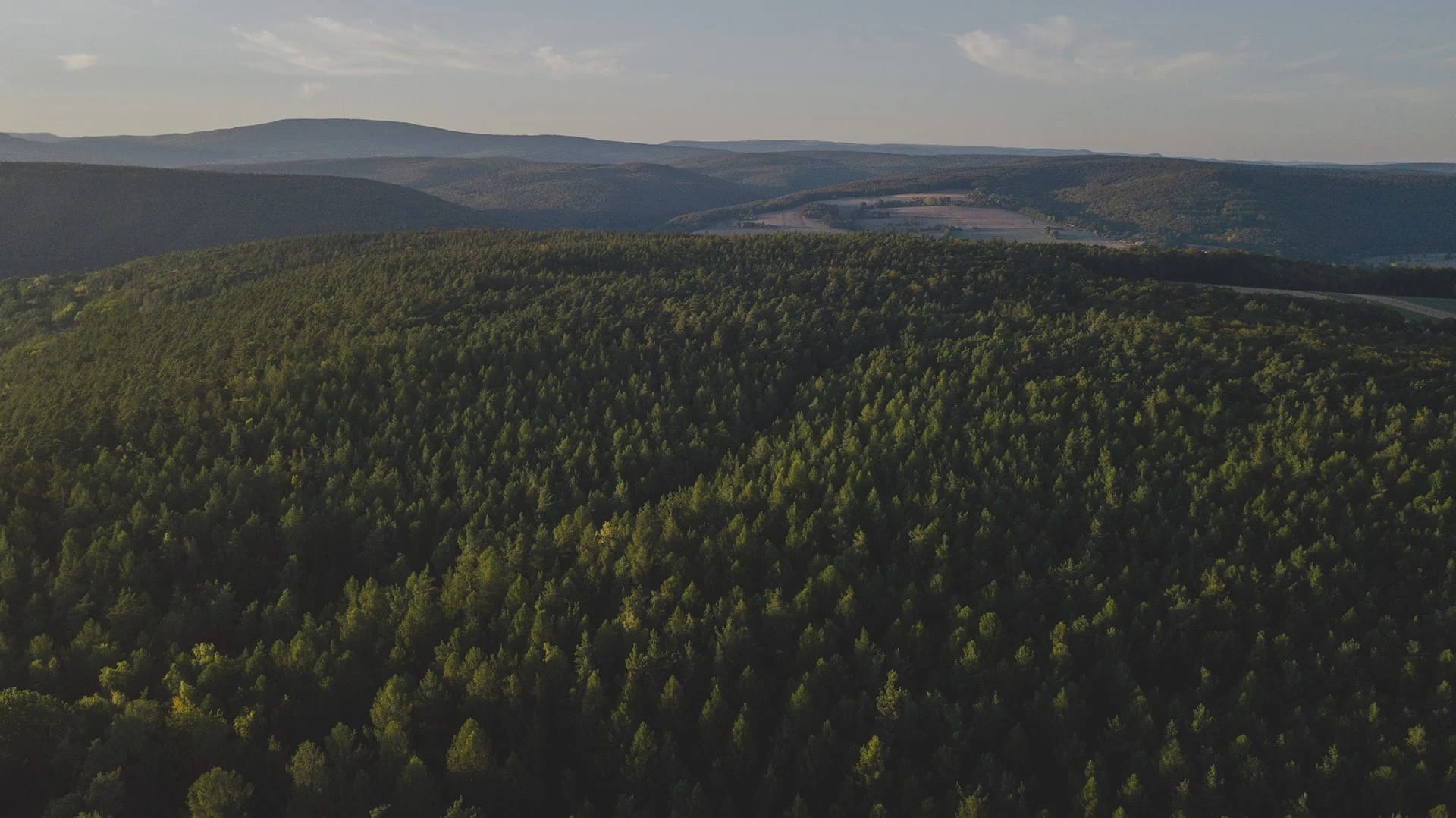 Bewaldete Hügellandschaft der Rhön aus der Vogelperspektive