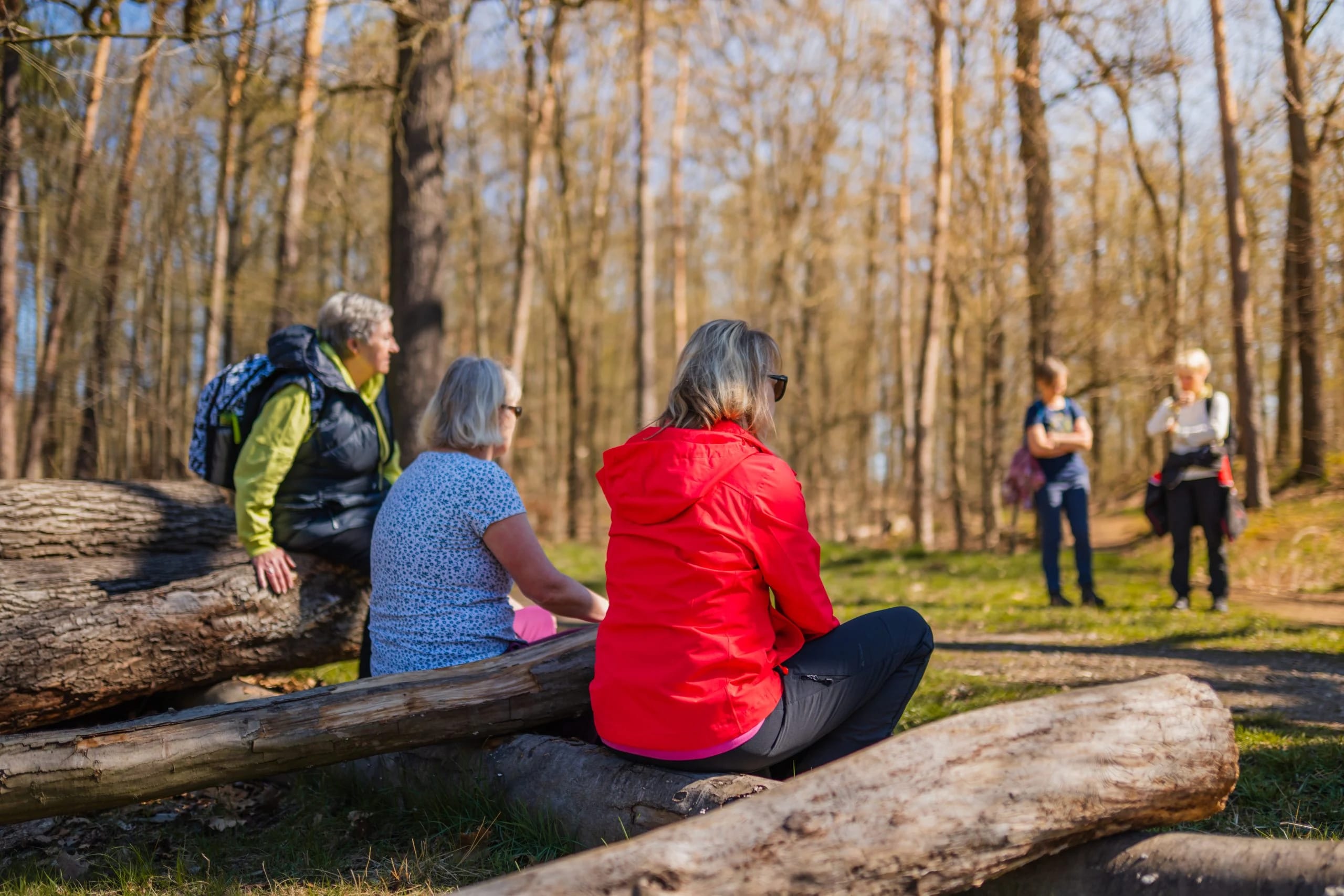 Gruppe rastet auf Baumstämmen im Wald