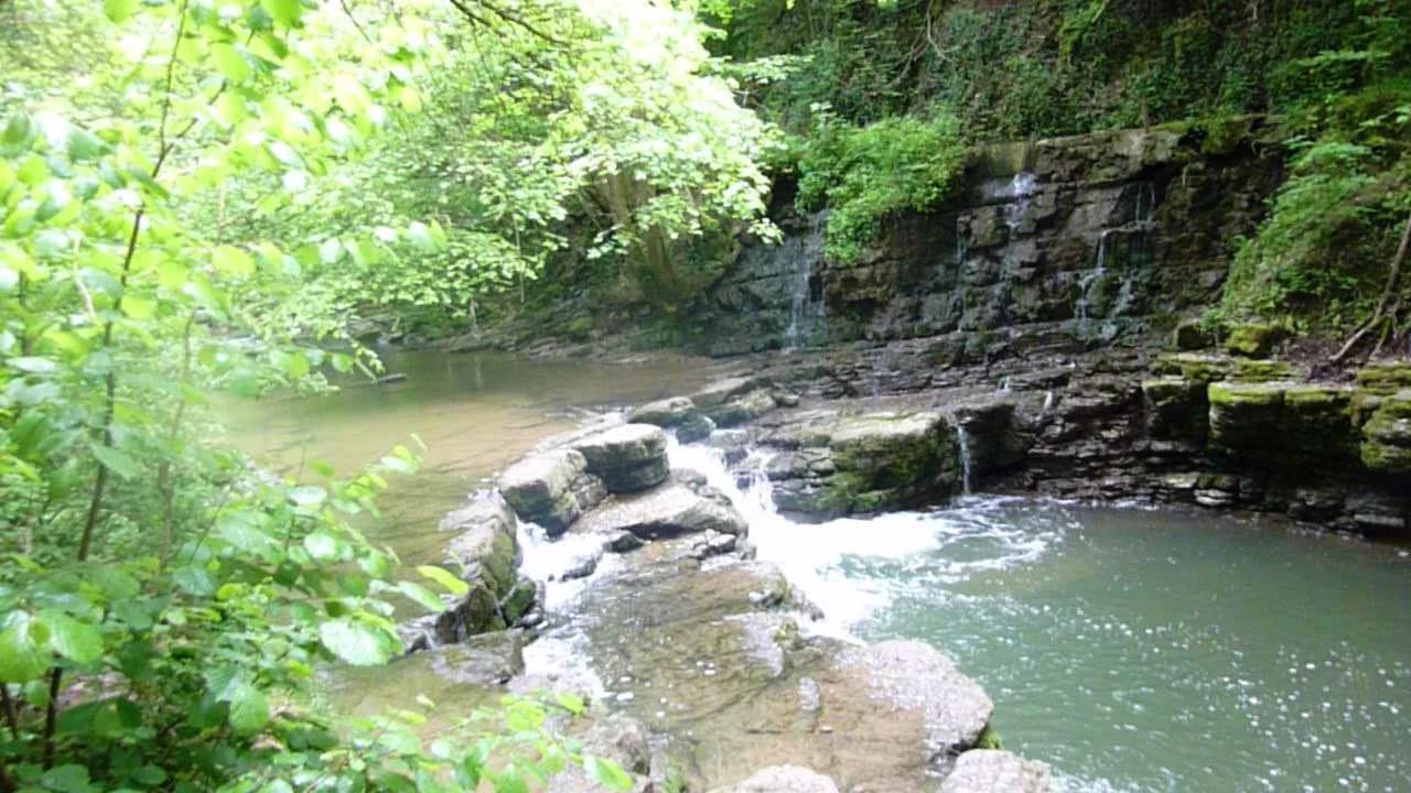 Kleiner Wasserfall über Felsstufen, umgeben von grünem Wald