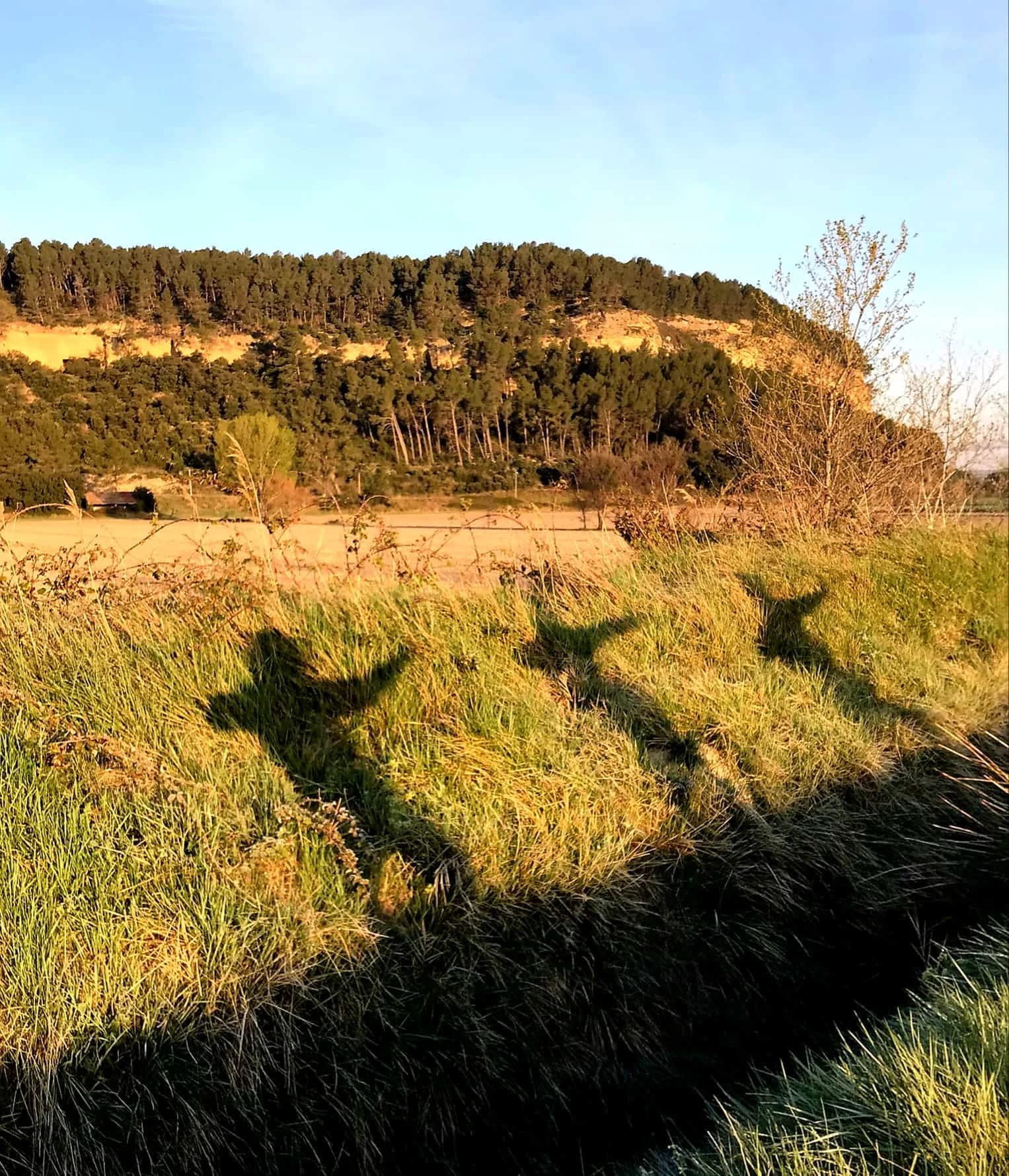 Morgengang beim Fastenwandern mit Angela Matzat
