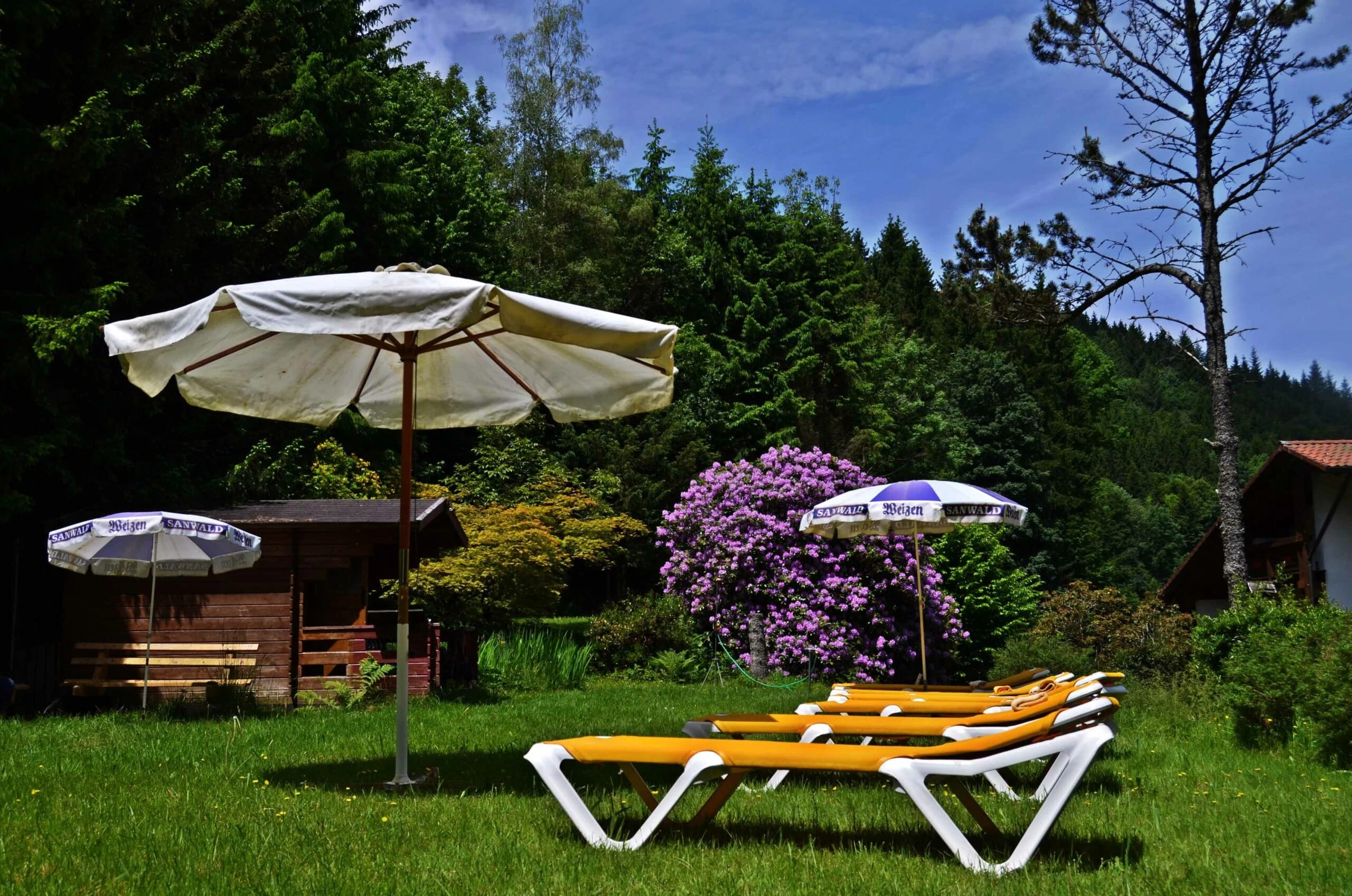 Gartenwiese mit Sonnenschirm und Liegestühlen, blühendem Rhododendron, Holzhäuschen und Nadelwald im Hintergrund