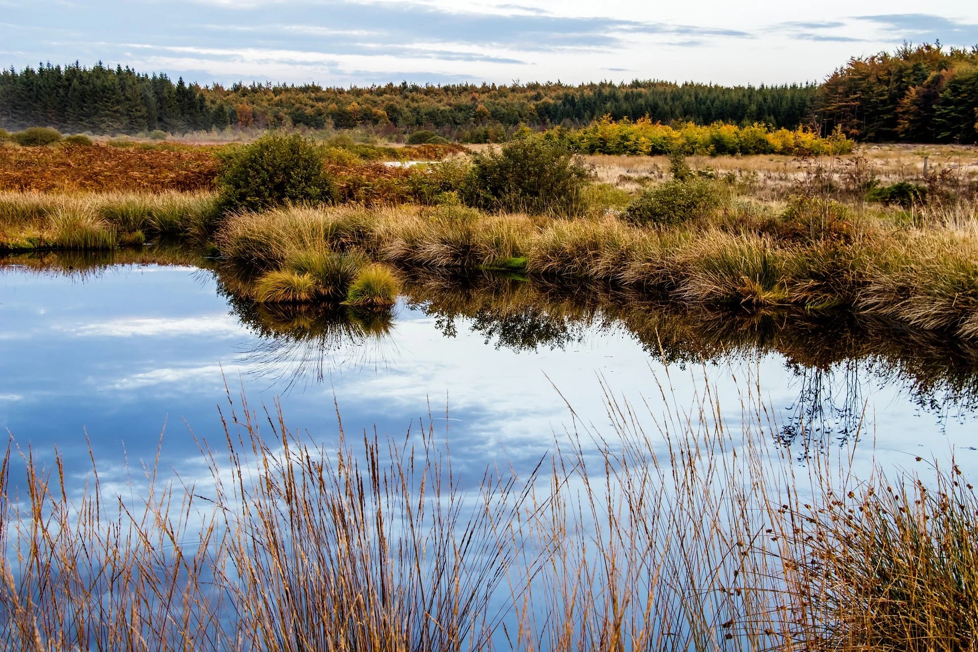 Hochmoorlandschaft mit spiegelndem Teich im Herbstlicht