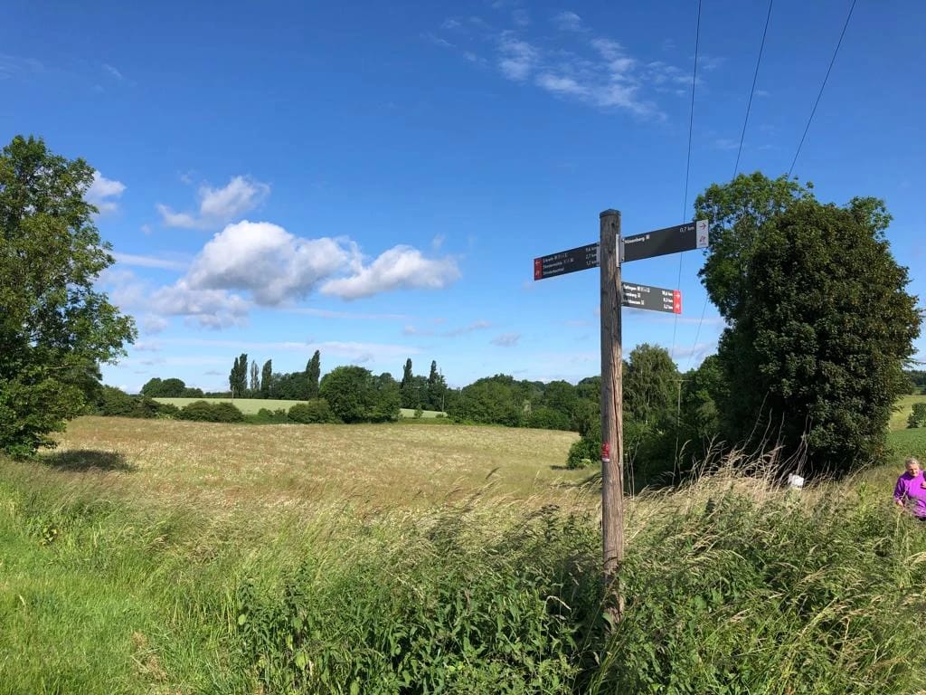 Wegweiser in einer grünen Landschaft unter blauem Himmel
