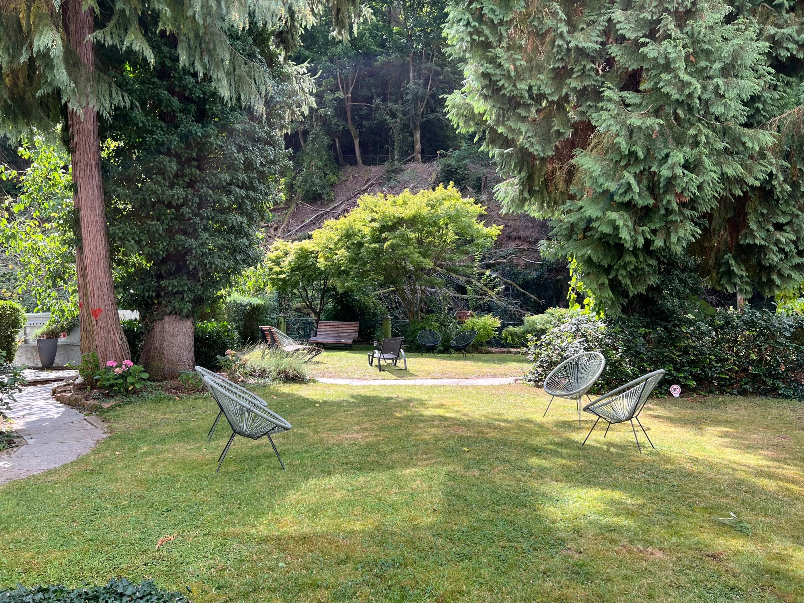 Gartenteich mit Seerosen vor bewaldetem Hang