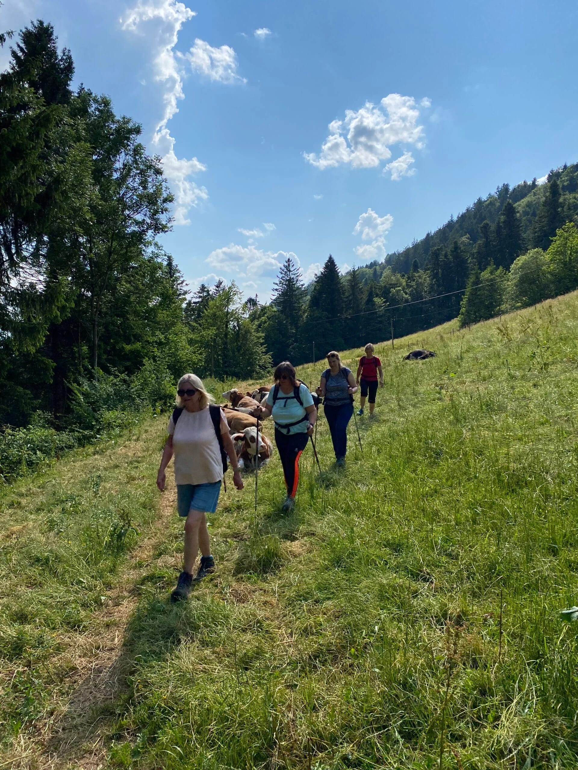 Fastenwandergruppe auf einem grasbewachsenen Bergpfad vor Alpenkulisse