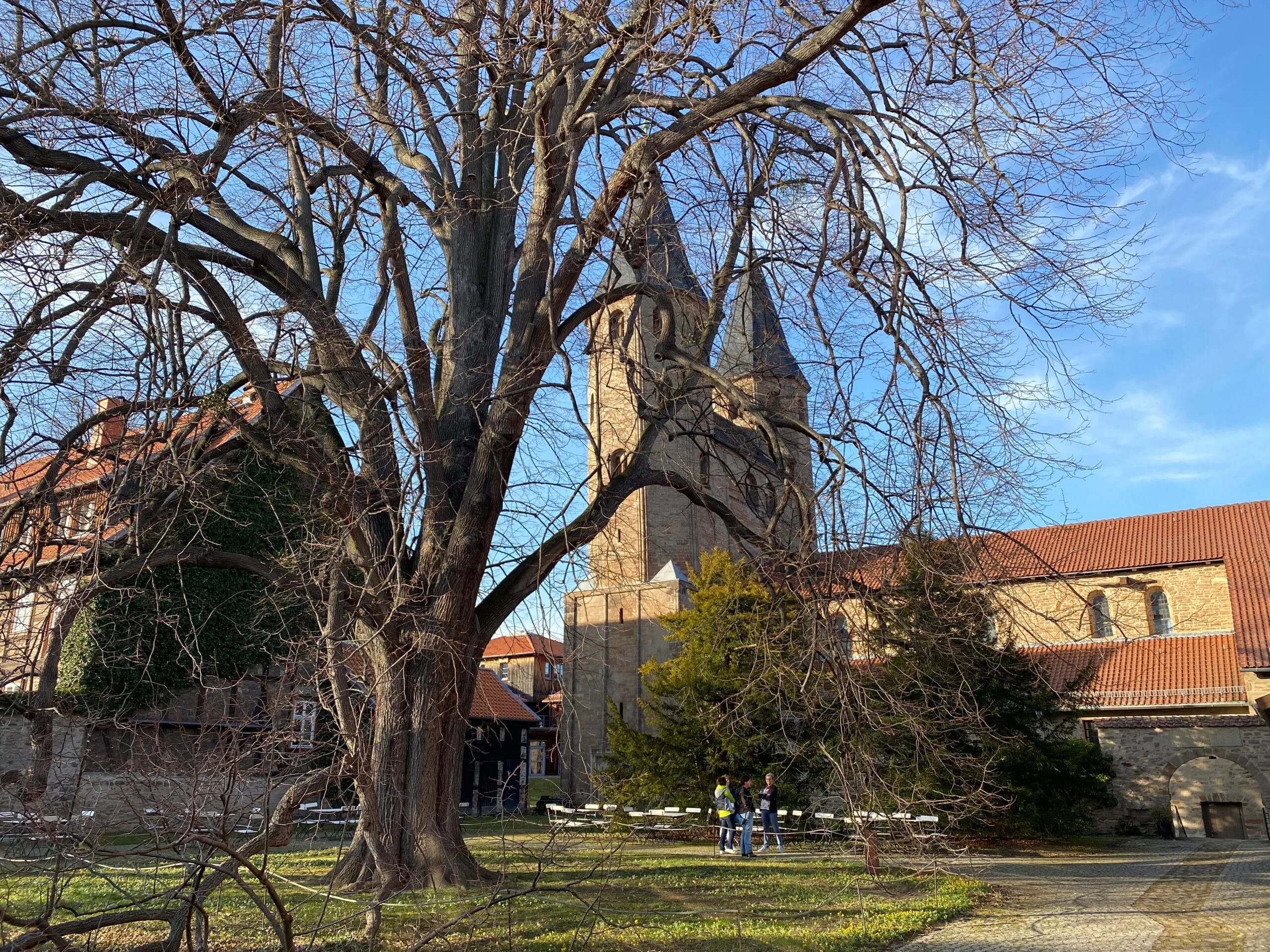 Kloster Drübeck im Harz, Kirchturm zwischen kahlen Bäumen