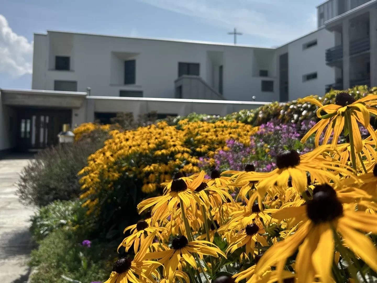 Beet mit gelben Sonnenhüten vor der weißen Fassade des Klosters