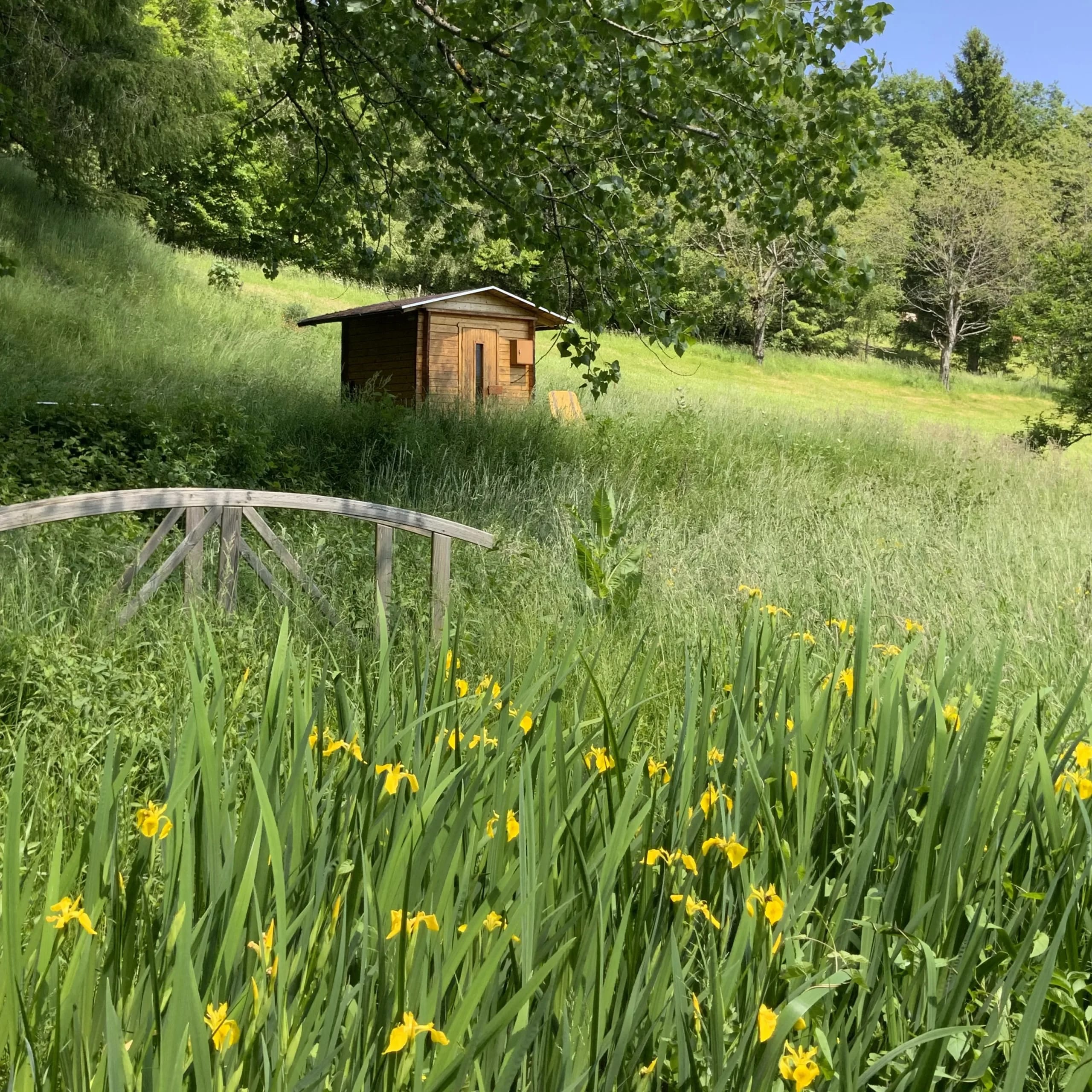 Holzsauna am Hang, umgeben von hohem Gras und blühenden gelben Schwertlilien
