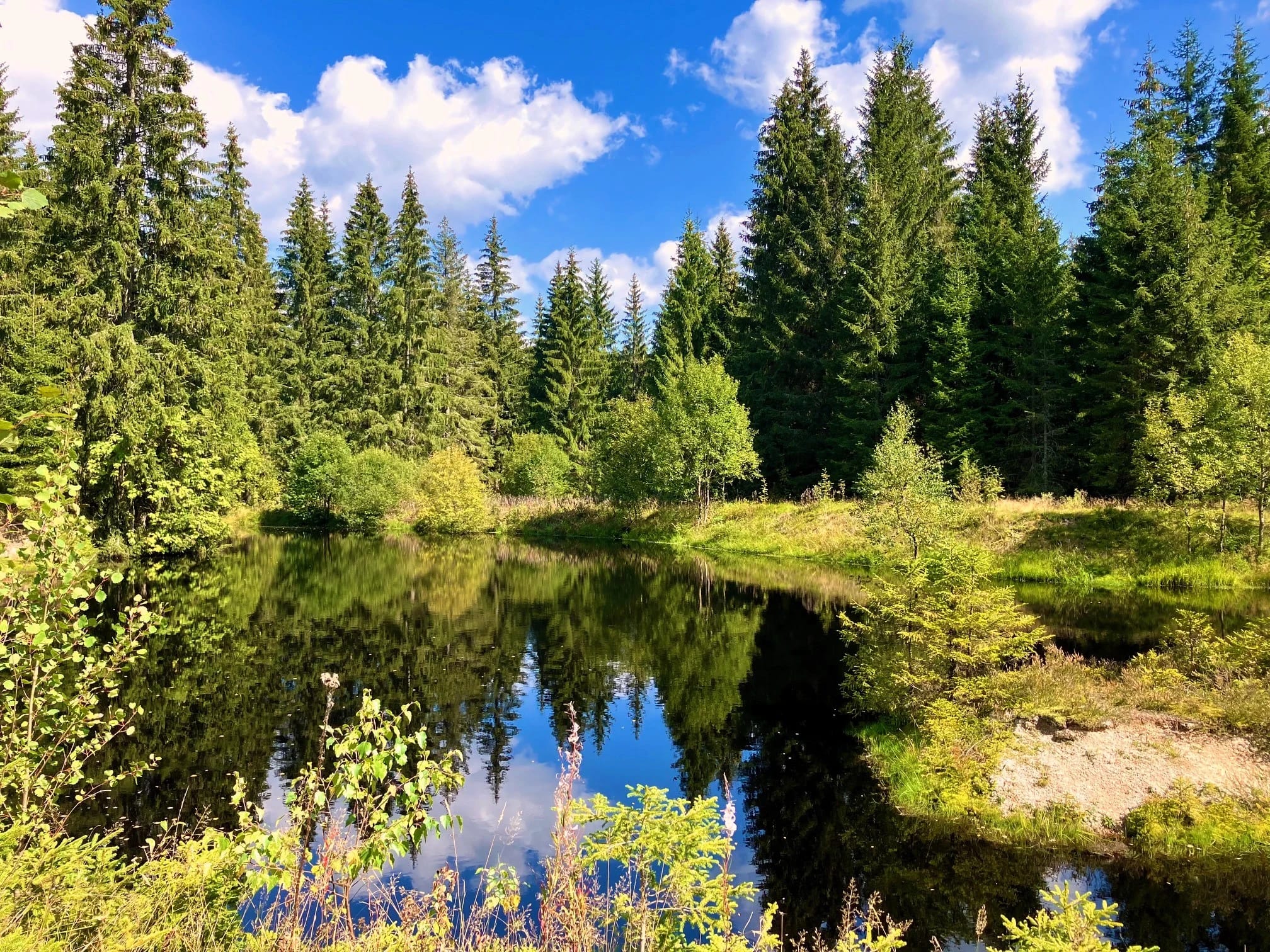 Teich auf der Fastenwanderung