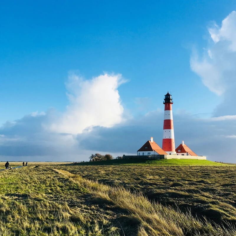 Leuchtturm Westerhever auf der grünen Salzwiese unter blauem Himmel