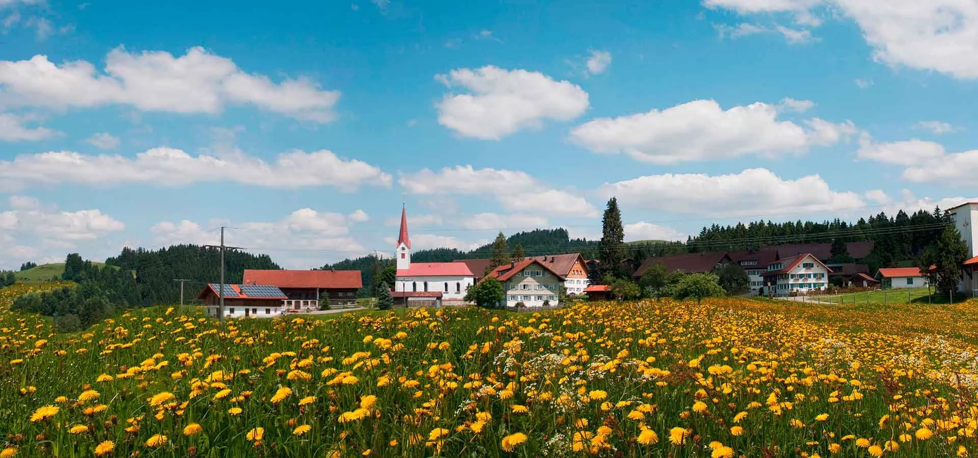 Panoramablick über eine Löwenzahnwiese auf den Ort mit Kirchturm