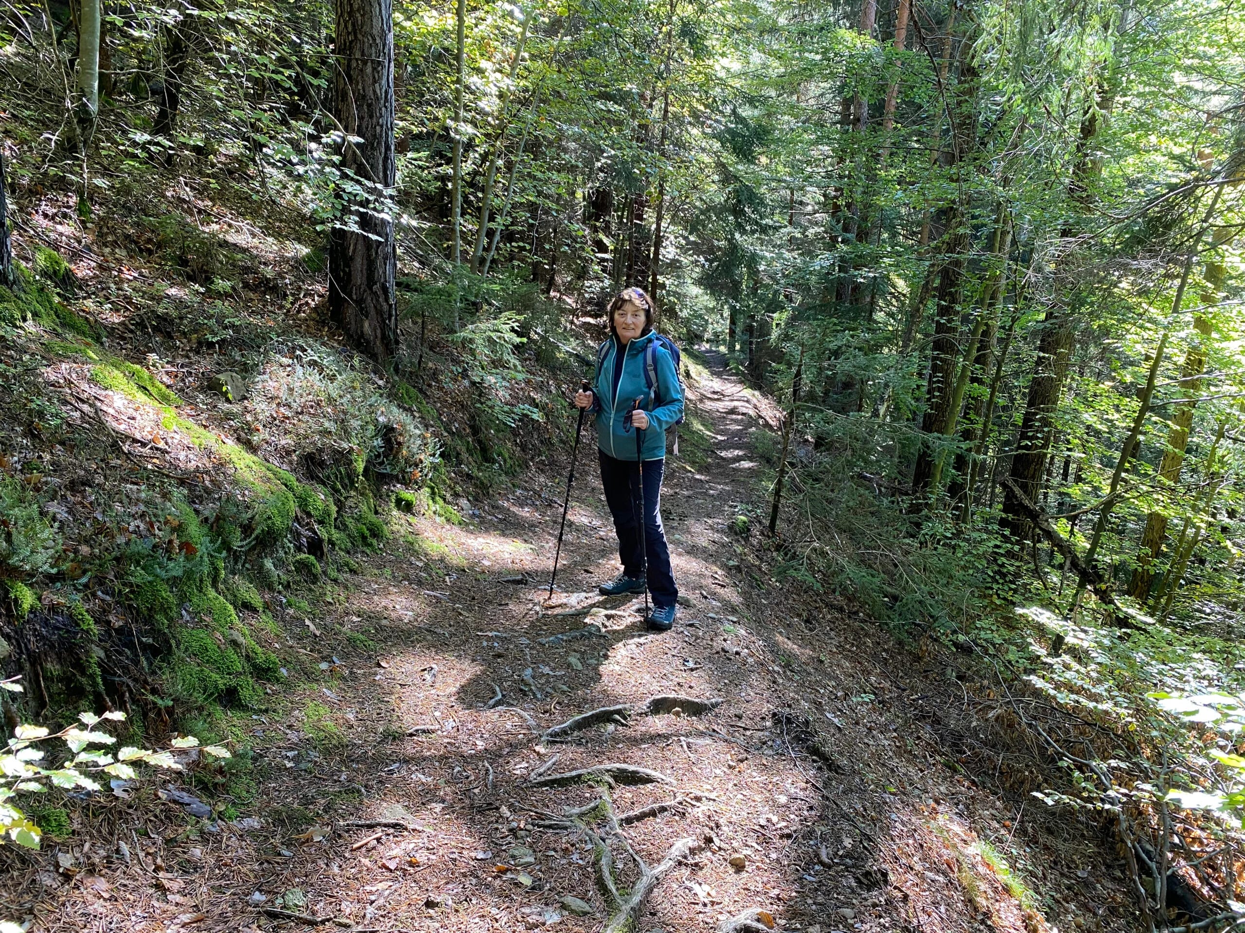 Frau mit Wanderstöcken auf einem sonnigen Waldweg
