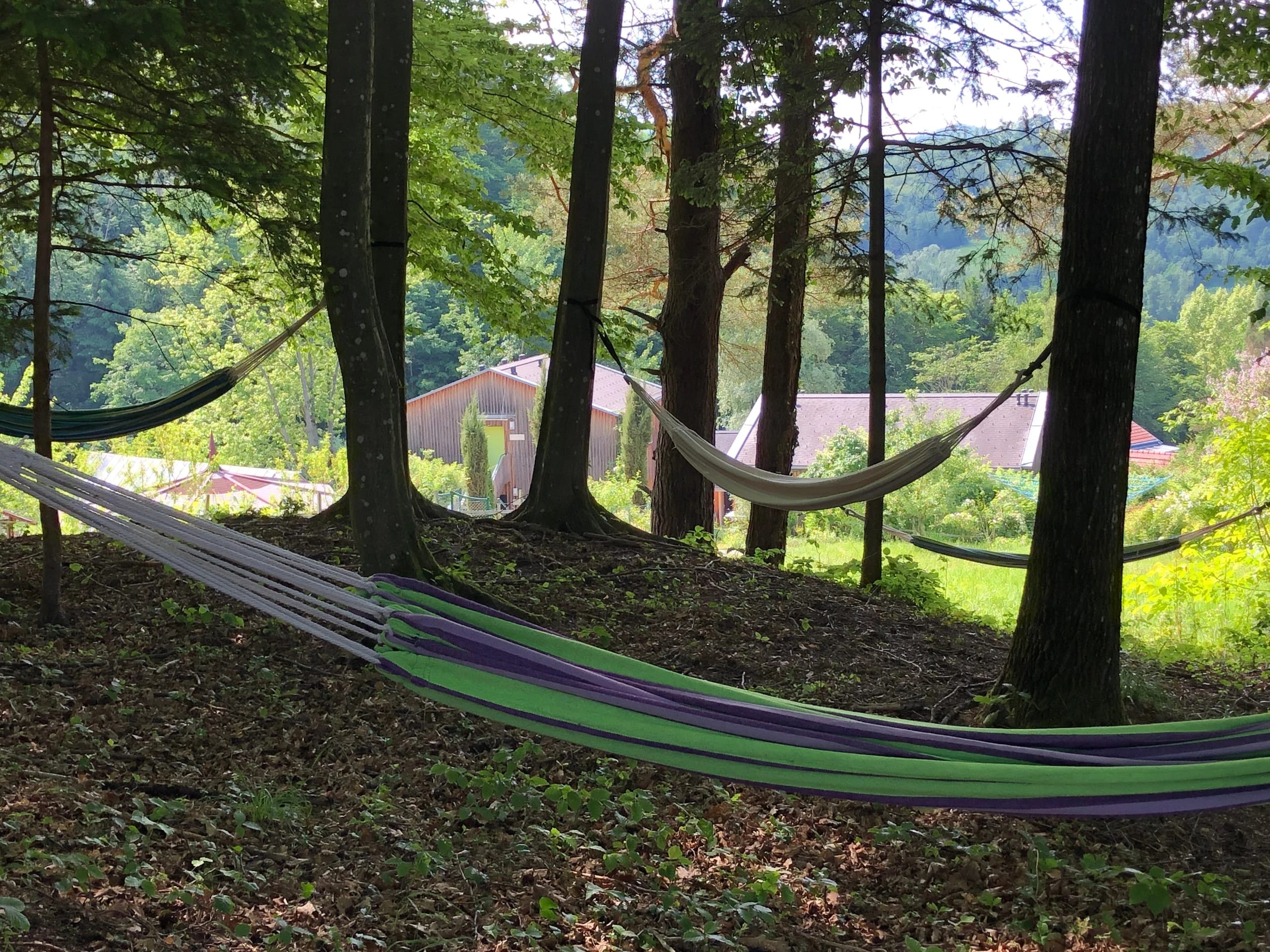 Hängematten zwischen Bäumen im Wald mit Gebäuden im Hintergrund