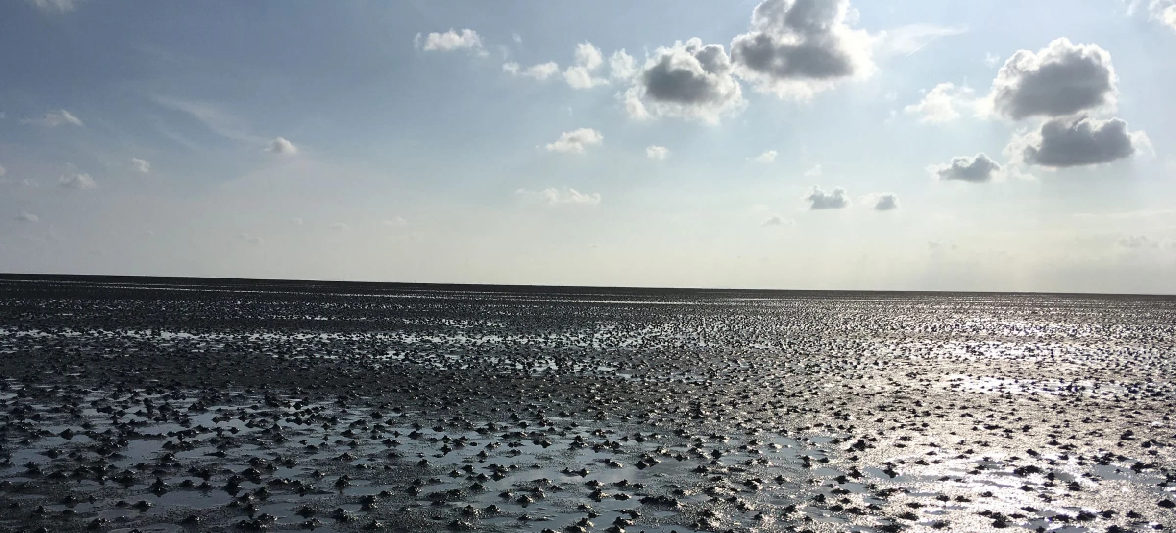 Weites Wattenmeer bei Ebbe unter blauem Himmel mit Wolken