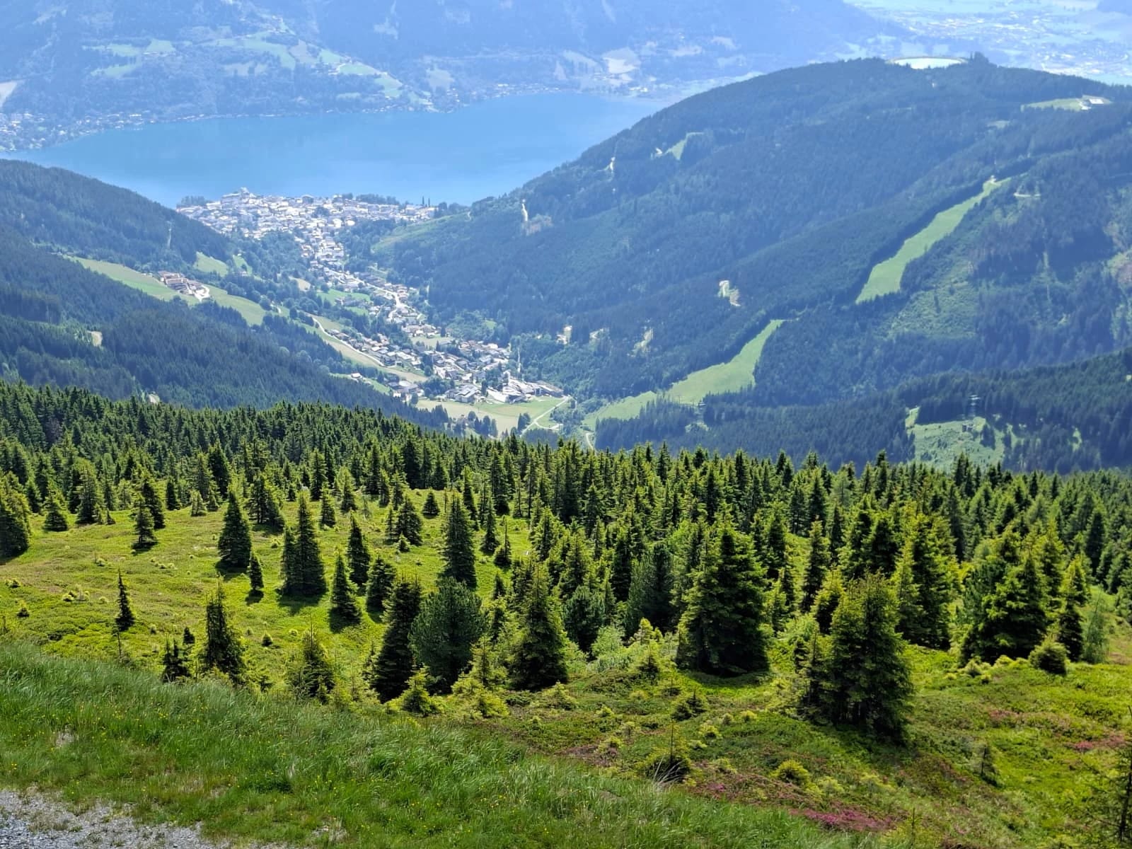 Blick von einem Berg auf einen See und eine Ortschaft im Tal