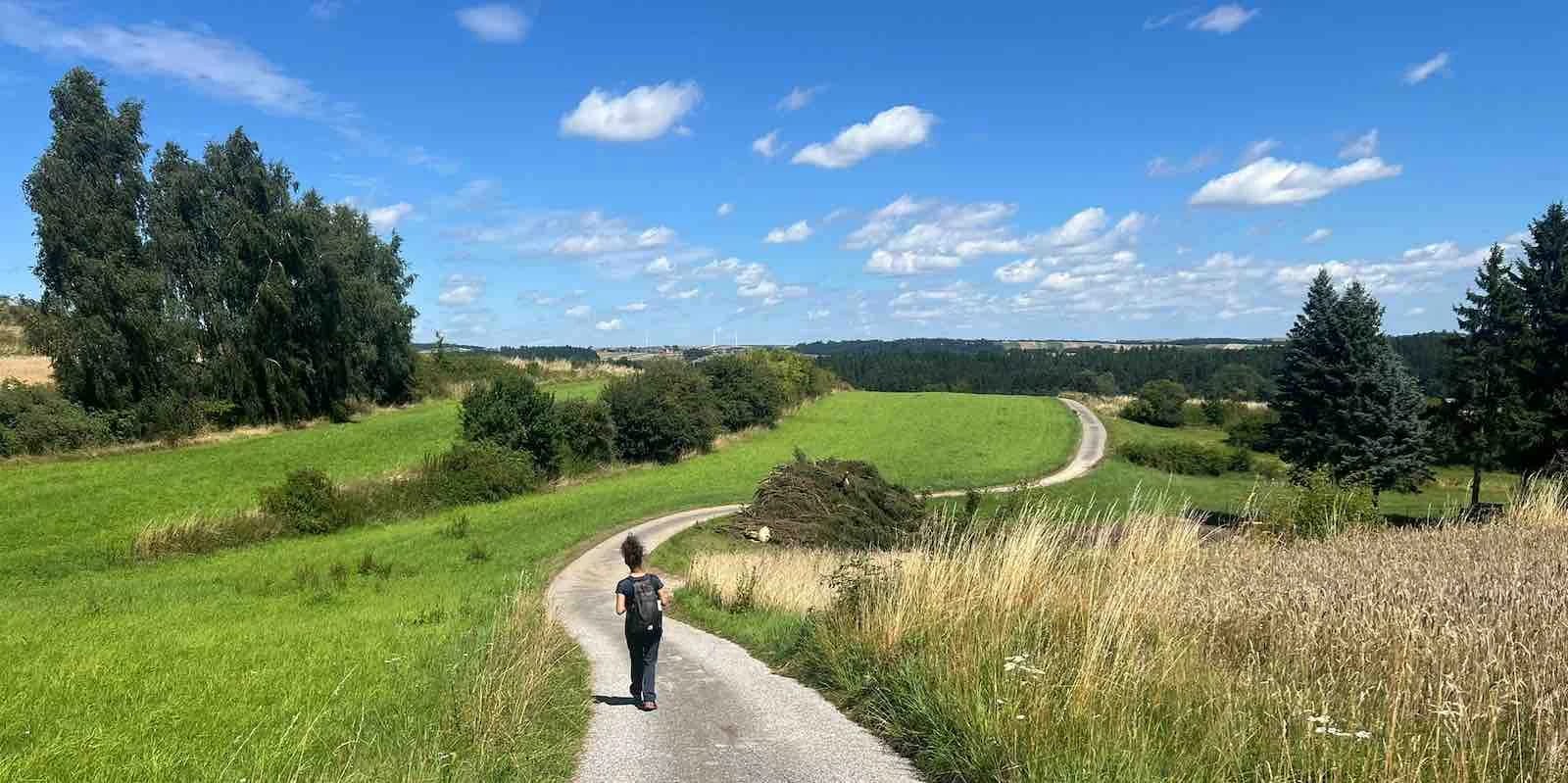 Wanderweg durch grüne Wiesen und Felder, eine Person geht in der Ferne