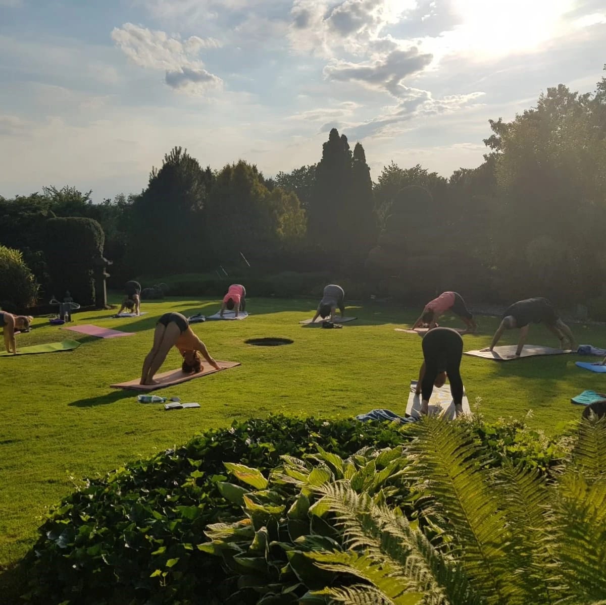 Yogagruppe auf einer Parkwiese in der Abendsonne