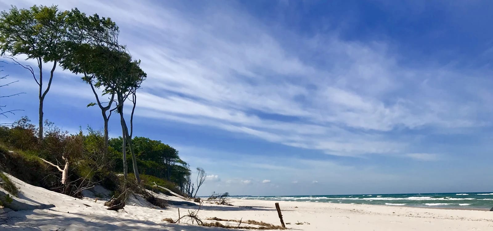 Sonniger Ostseestrand mit Dünen und Bäumen unter blauem Himmel