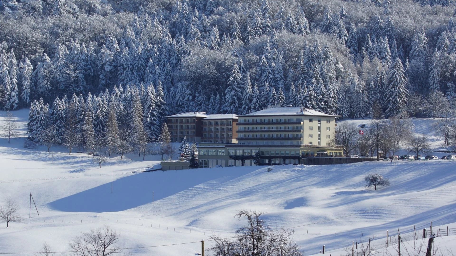 Bad Ramsach Quellhotel im Winter