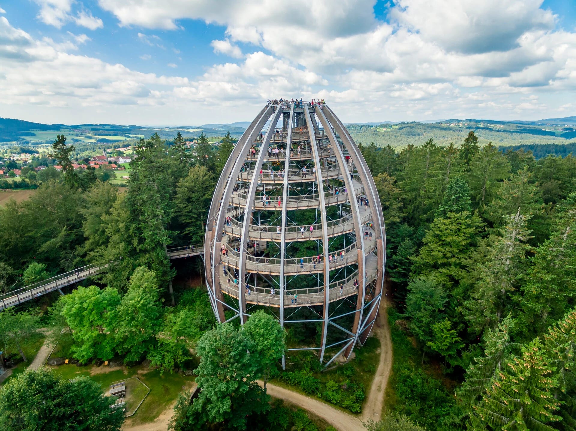 Der eiförmige Holzturm des Baumwipfelpfads über den Baumkronen im Wald