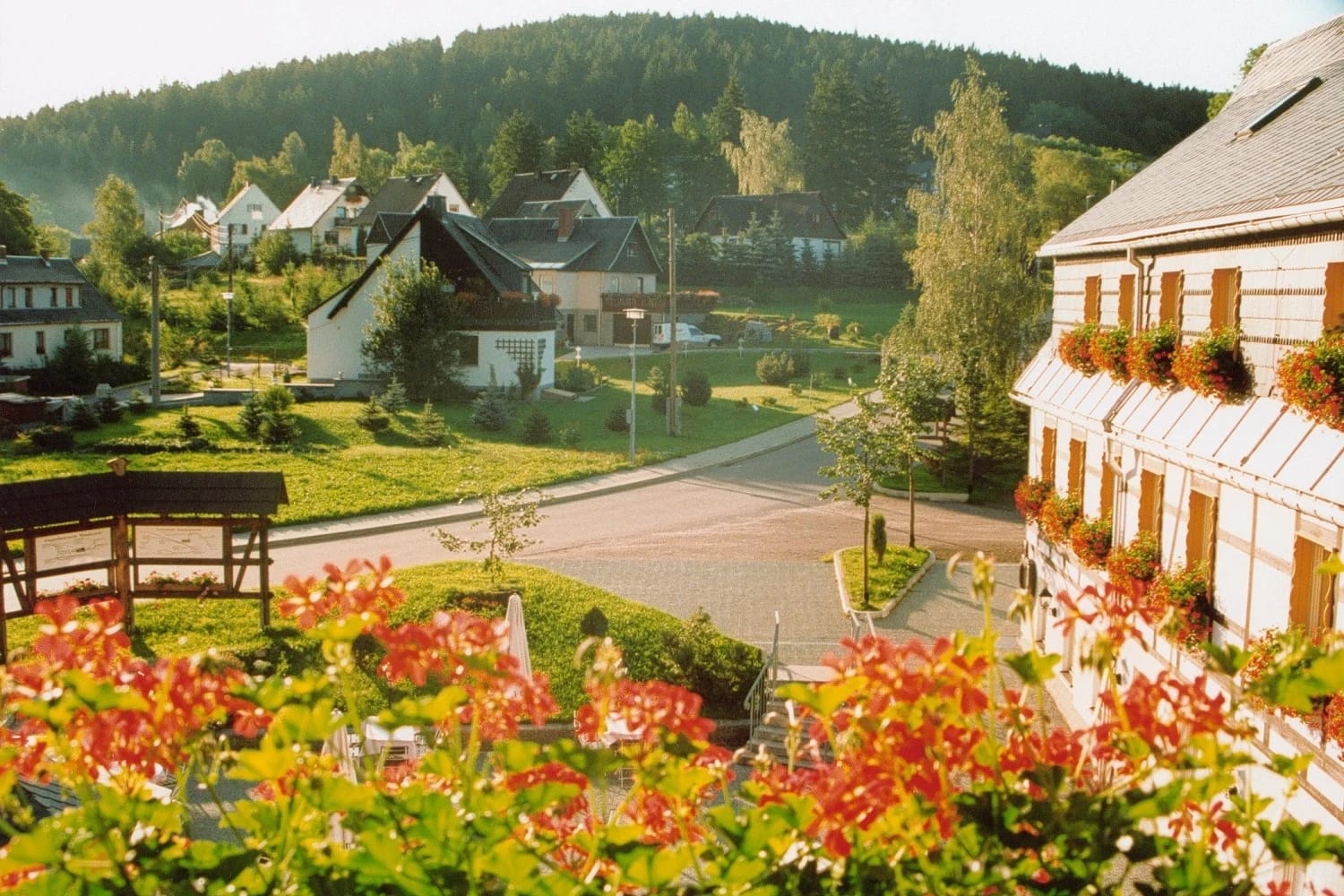 Blick über das Dorf mit Häusern und bewaldeten Hügeln, blühende Geranien im Vordergrund