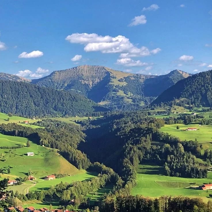 Grüne Hügel, Wälder und Bergkette des Allgäus unter blauem Himmel