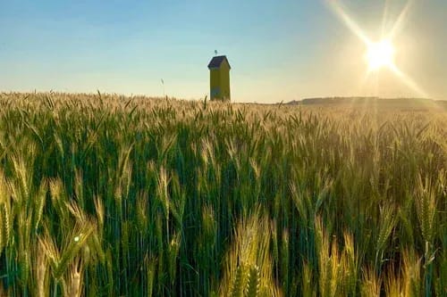 Kloster Pernegg von oben mit Blick über das Waldviertel