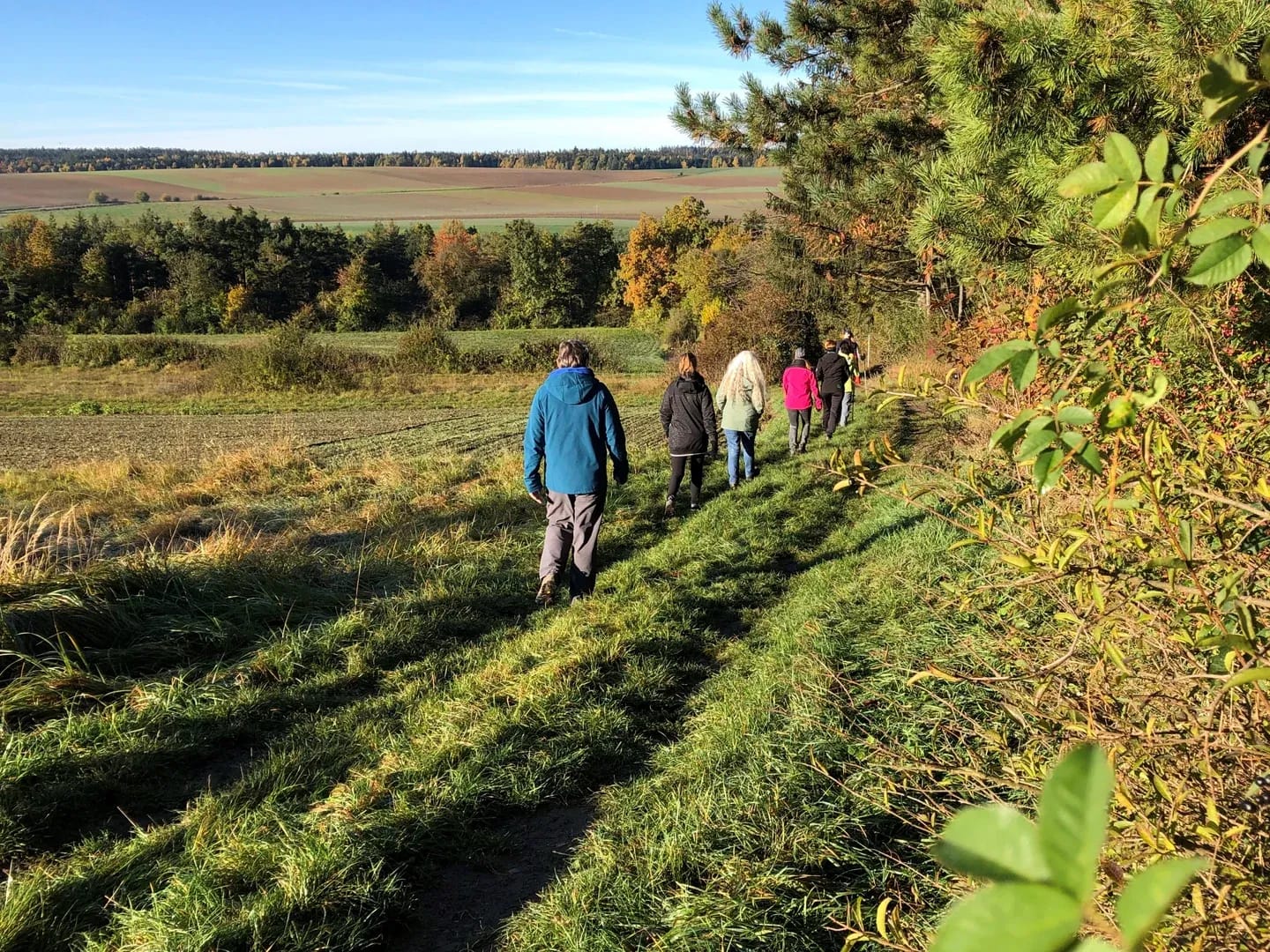 Fastenwandern in der Natur des Waldviertels