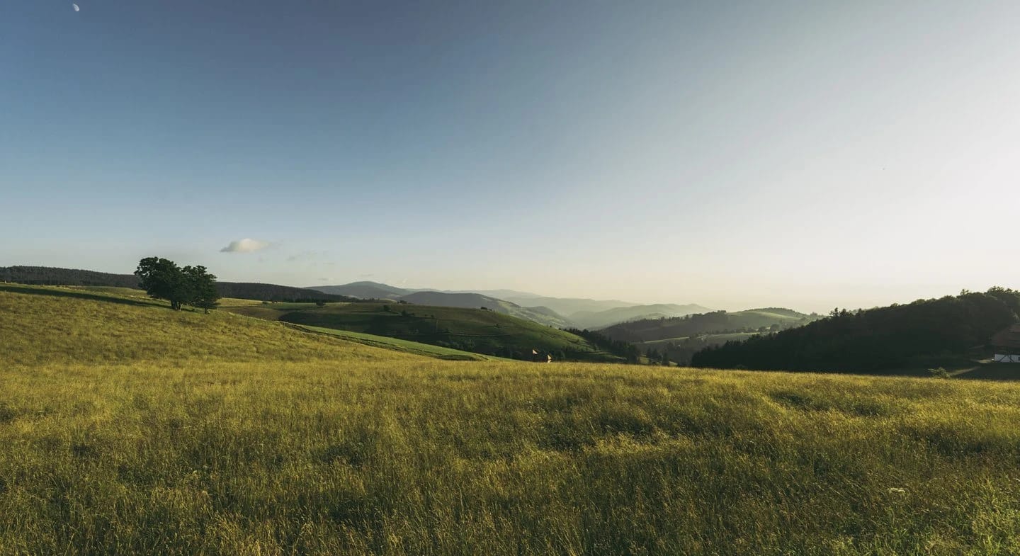 Weite Wiese mit Blick über die bewaldeten Hügel des Schwarzwalds